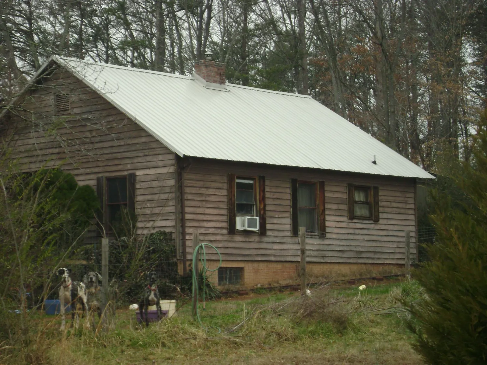 White metal roof on an old wood sided farmhouse, from a Asphalt Shingle Roof Repair job in Canastota